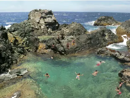 natural-pool
